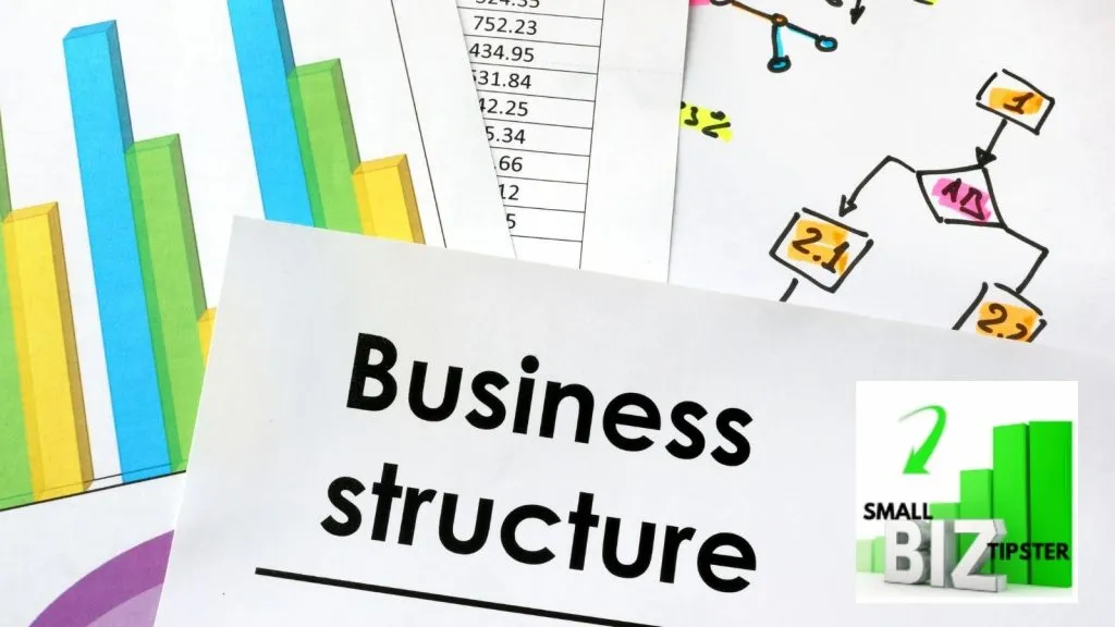 business of business entities structure