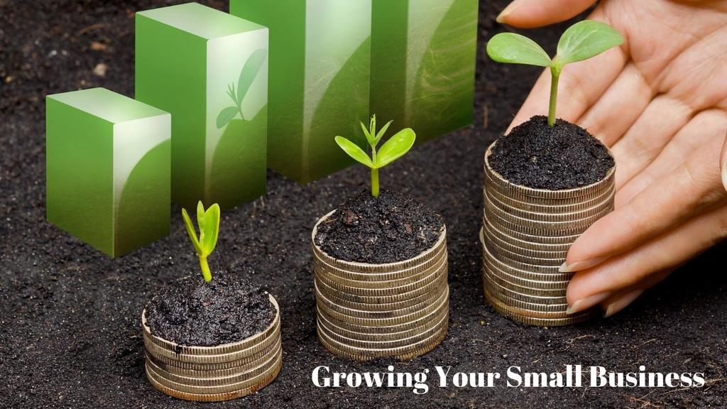 small business grows when you do
