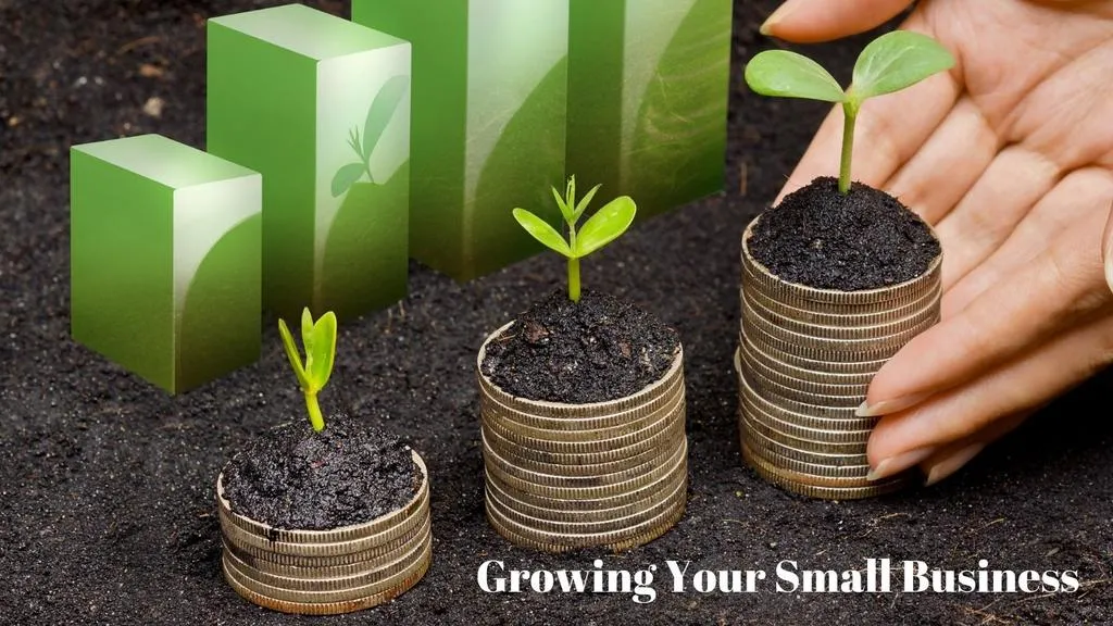 grows your small business