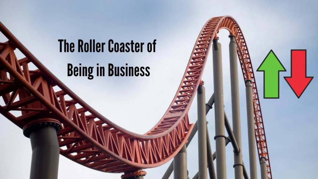 roller coaster of business