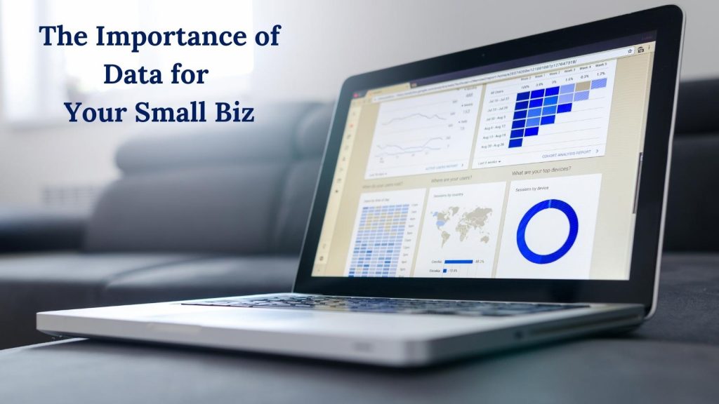 the importance of data for your small biz