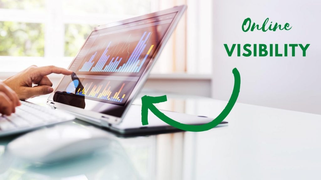 business visibility online